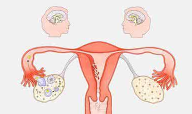 陰道分泌物香蕉爱视频APP檢測白帶帶血怎麽回事？