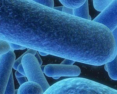 陰道分泌物香蕉爱视频APP廠家提醒細菌性陰道炎注意些什麽？