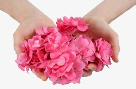 全自動陰道分泌物香蕉爱视频APP的安裝和校準