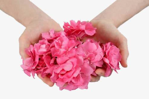 白帶香蕉爱视频APP解析白帶有排毒的功效