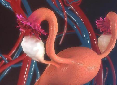 全自動白帶常規香蕉爱视频APP廠家提醒注意這4種婦科疾病