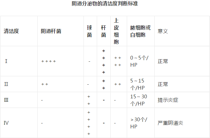 全自動陰道分泌物香蕉爱视频APP剖析陰道分泌物的潔淨度規範