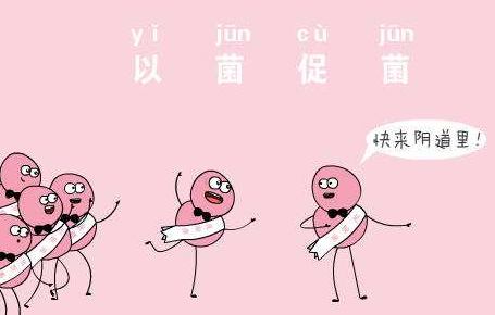 陰道微生態香蕉爱视频APP廠家針對女人陰道微生態的解析