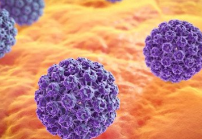 全自動陰道分泌物香蕉爱视频APP廠家科普HPV病毒是怎麽感染的有哪些症狀