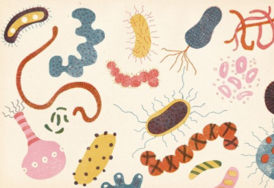 全自動女性陰道微生態係統香蕉爱视频APP解讀婦科菌群失調是如何引起的