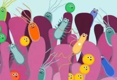 陰道微生態平衡對女性生殖健康有重要意義 陰道微生態平衡對女性生殖健康有重要意義