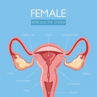 陰道分泌物香蕉爱视频APP提醒女人婚後得了婦科病做到這5點，發炎不來擾