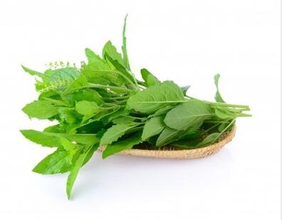 白帶常規香蕉成人A片视频廠家提示這寶是婦科疾病的“死對頭”，趕緊關注起來吧！