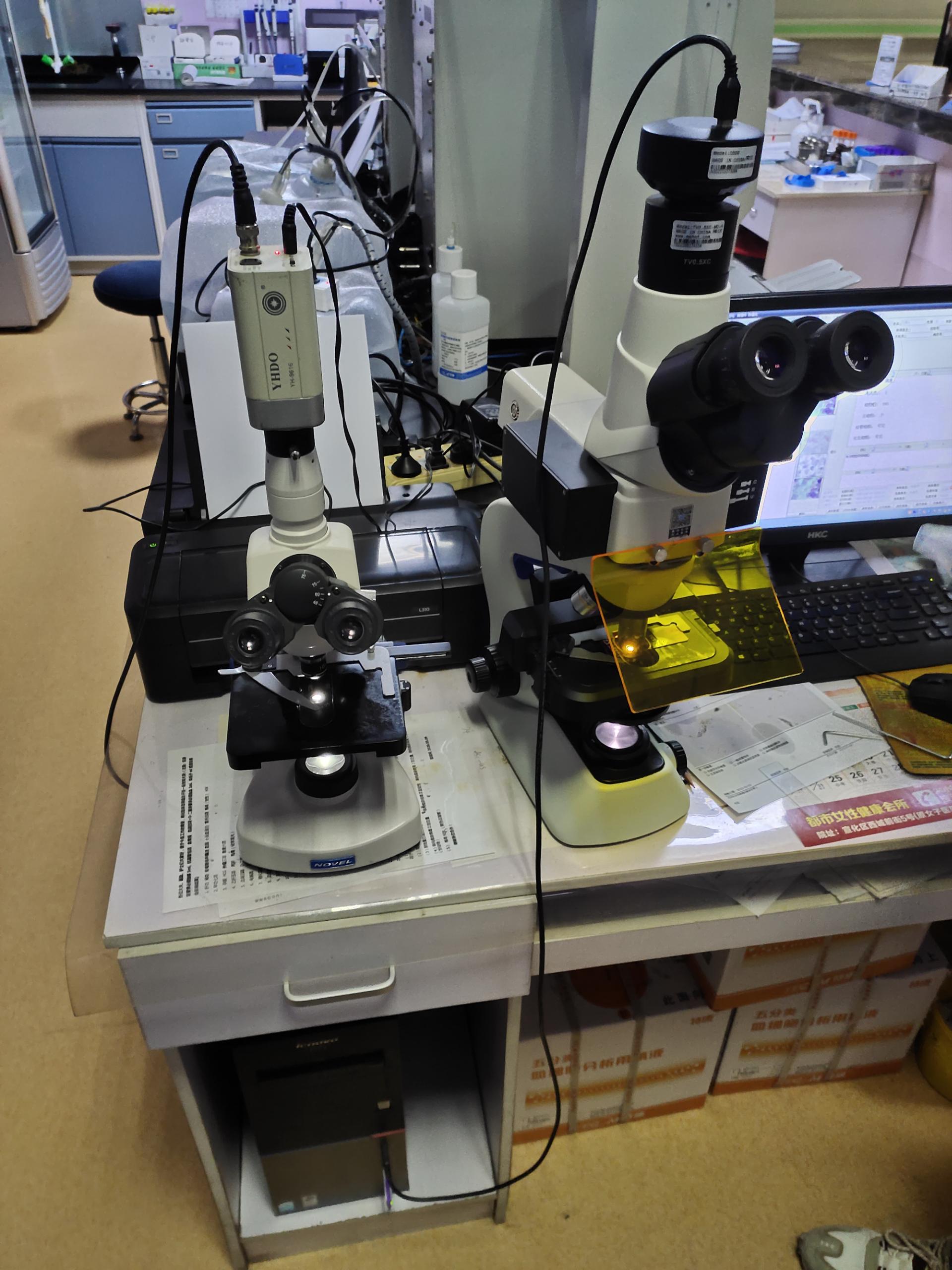 山東香蕉网视频在线观看陰道分泌物香蕉爱视频APP全麵檢測，婦科健康保駕護航！