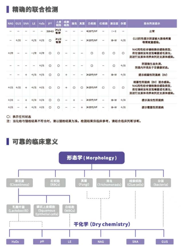 陰道分泌物香蕉成人A片视频V800精確的聯合檢測