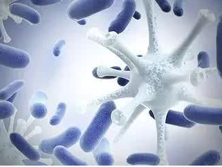 【婦科白帶香蕉成人A片视频品牌】：女性患黴菌性陰道炎的緣由！