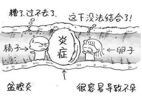 全自動婦科陰道分泌物香蕉成人A片视频檢測辨別婦科炎症複雜多樣！